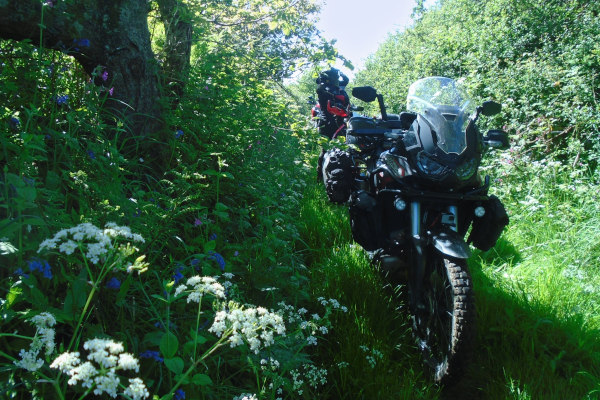 Big bike on a summer green road