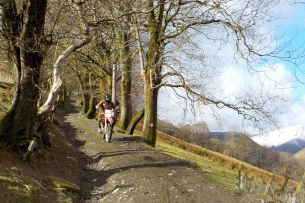Trail riders Trail riders in North Wales