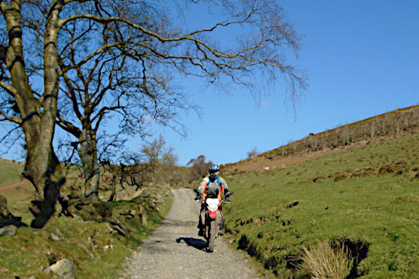 Trail rider on a sunny winter day Trail rider with winter blue skies and trees